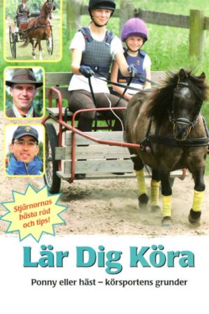 Lär dig köra (2007) poster