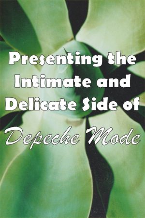 Depeche Mode: 1999–2002 “Presenting the Intimate and Delicate Side of Depeche Mode” (2007) poster