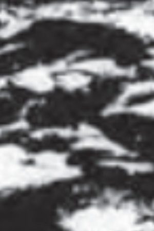 Burren (2007) poster