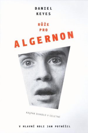 Růže pro Algernon (2006) poster