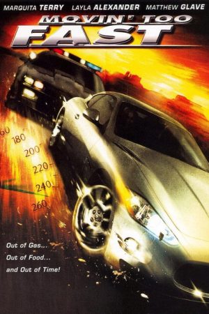 Lost in Plainview (2006) poster