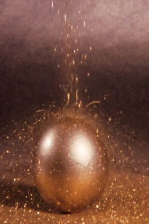 Película sudorosa II (2009) poster