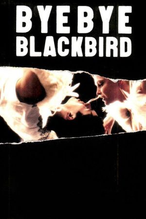 Bye Bye Blackbird (2005) poster