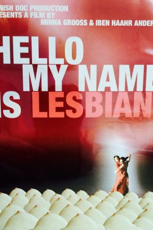 Hello, My Name Is Lesbian (2009) poster