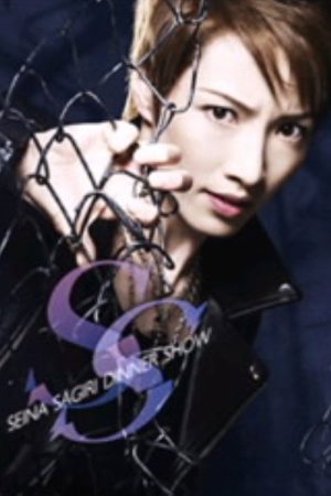 Sagiri Seina Dinner Show “SS” (2013) poster