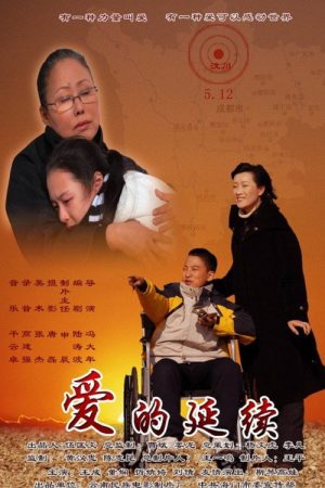 爱的延续 (2009) poster
