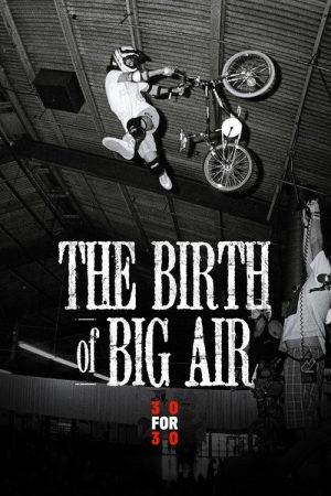 The Birth of Big Air (2010) poster