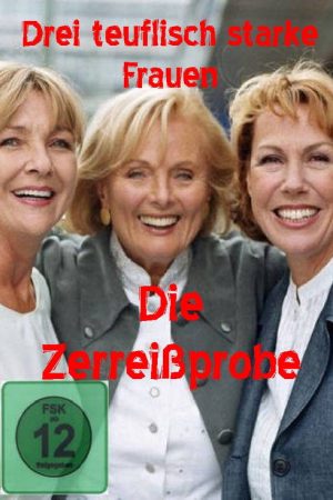 Drei teuflisch starke Frauen – Die Zerreißprobe (2007) poster