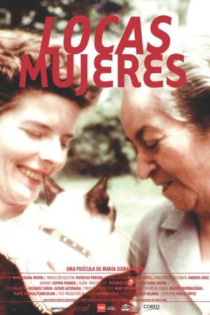 Madwomen (2011) poster