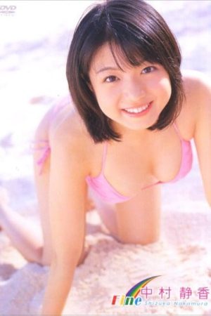 中村静香 Fine (2007) poster