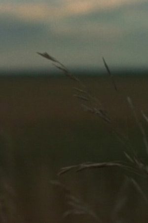 Around Sanford (2007) poster