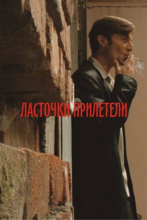 Swallows Have Arrived (2007) poster
