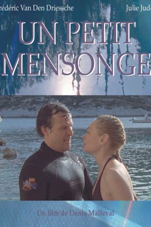 Un petit mensonge (2009) poster