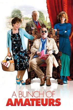 A Bunch of Amateurs (2008) poster