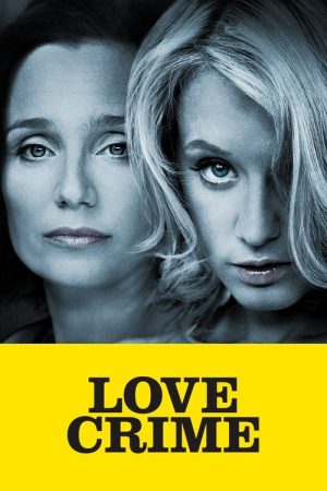 Love Crime (2010) poster