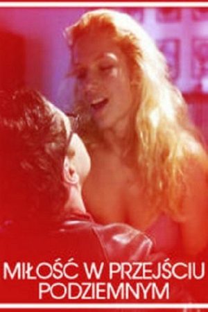 Love in an Underground Passage (2007) poster