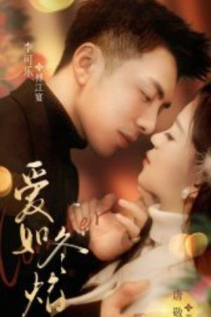 爱如冬焰 (2025) poster