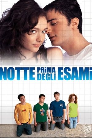 The Night Before the Exams (2006) poster
