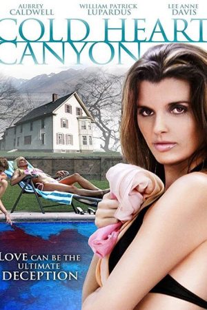 Cold Heart Canyon (2008) poster