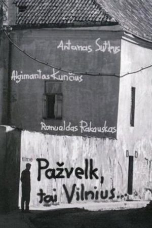 Look, it’s Vilnius (2006) poster