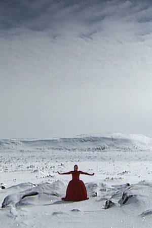 Invisible (2007) poster
