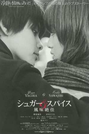 Sugar & Spice (2006) poster