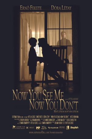 Now You See Me, Now You Don’t (2005) poster