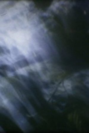 suginami-green (2007) poster