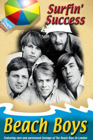 Beach Boys: Surfin’ Success (2008) poster