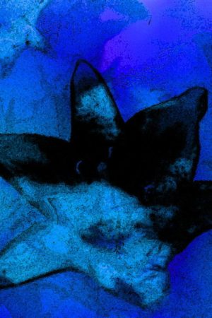 Blue Monet (2006) poster