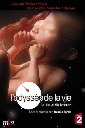 L’odyssée de la vie (2006) poster
