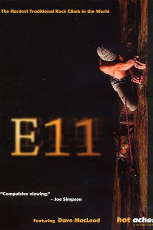 E11 (2006) poster