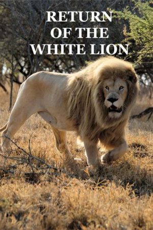 Return of the White Lion (2008) poster