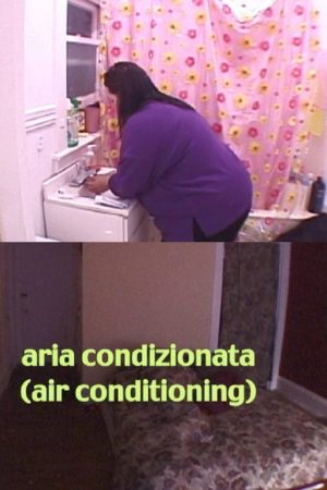 Air Conditioning (2005) poster