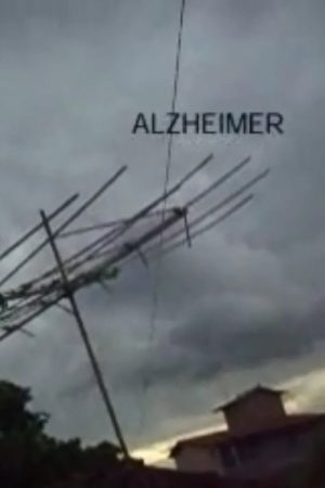 Alzheimer (2009) poster