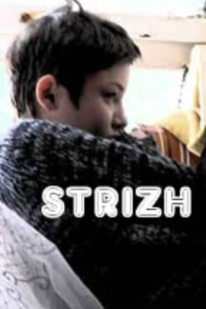 Swift (2008) poster