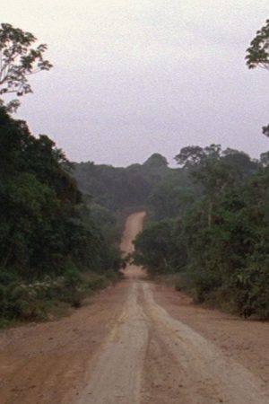 Travelling Amazonia (2006) poster
