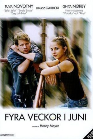 Four Weeks in June (2005) poster