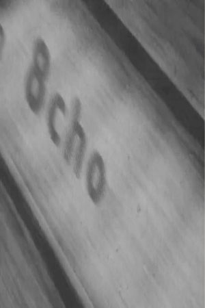 8cho (2006) poster