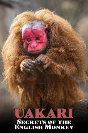 Uakari: Secrets of the English Monkey (2008) poster