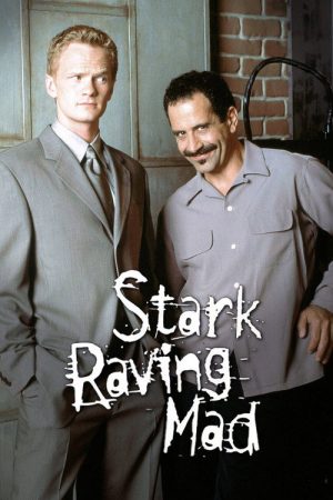 Stark Raving Mad (1999) poster
