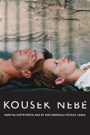 A Little Piece of Heaven (2005) poster