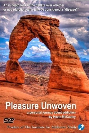 Pleasure Unwoven (2006) poster