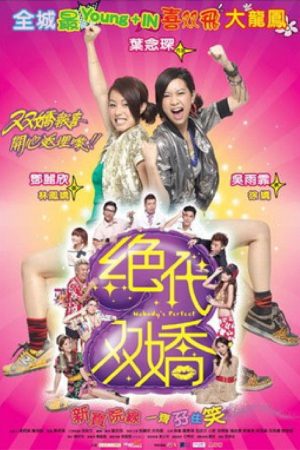 Nobody’s Perfect (2008) poster