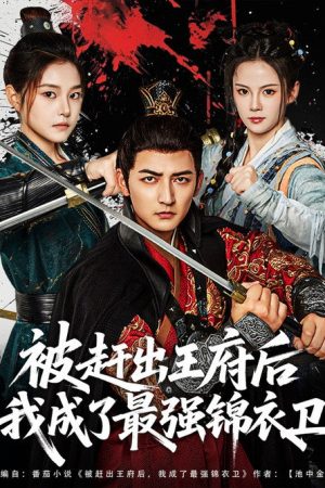 被赶出王府后我成了最强锦衣卫 (2025) poster
