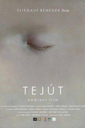 Milky Way (2007) poster