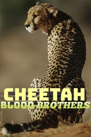Cheetah Blood Brothers (2007) poster