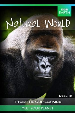 Titus: The Gorilla King (2008) poster