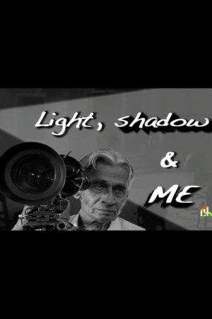 Light, Shadow, and Me (2012) poster