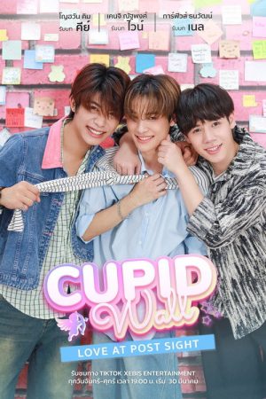 Cupid Wall: Love At Post Sight (2026) poster